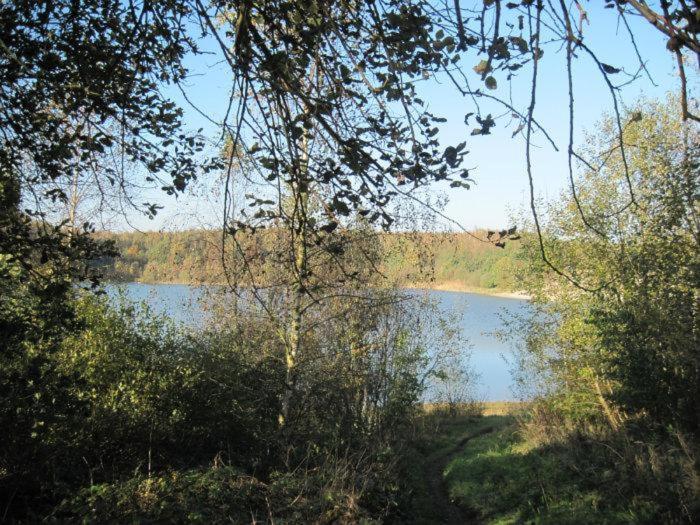 Chalet Kokomo - Gelegen In Bosrijkgebied Van Drenthe Eext Exteriör bild